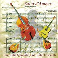 Front cover art for Salut d'Amour