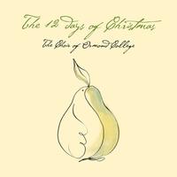 Front cover art for The 12 Days of Christmas