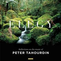 Front cover art for Elegy: Reflections on the music of Peter Tahourdin