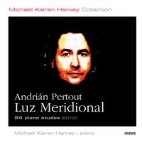 Front cover art for Luz Meridional (Southern Light)