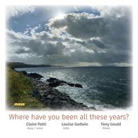 Front cover art for Where have you been all these years?