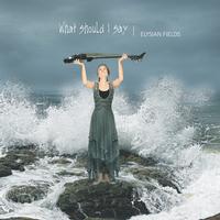 Front cover art for What should I say