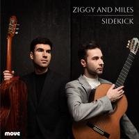 Front cover art for Sidekick