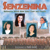 Front cover art for Senzenina