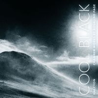 Front cover art for Cool Black