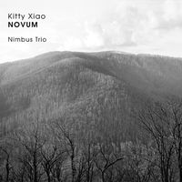 Front cover art for Novum