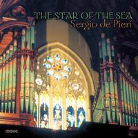 Front cover art for The Star of the Sea