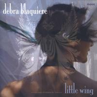 Front cover art for Little Wing