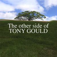 Front cover art for The Other Side of Tony Gould