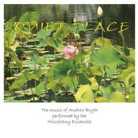 Front cover art for Quiet Place