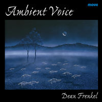 Front cover art for Ambient Voice Front cover art for Ambient Voice