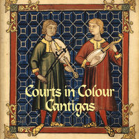 Courts in Colour