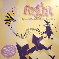 Front cover art for Flight Front cover art for Flight