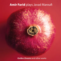 Amir Farid plays Javad Maroufi