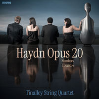 Haydn Opus 20